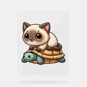 Chat de Siamese promenade tortue