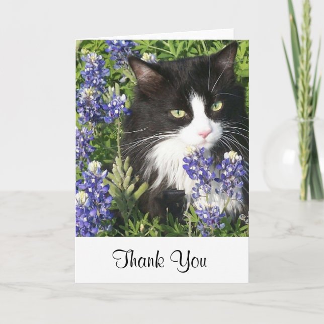 Chat de smoking de carte de remerciements dans des (Devant)