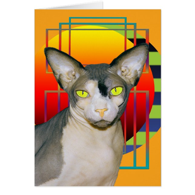 Chat de Sphynx de vamp de la carte | (orange) (Devant)
