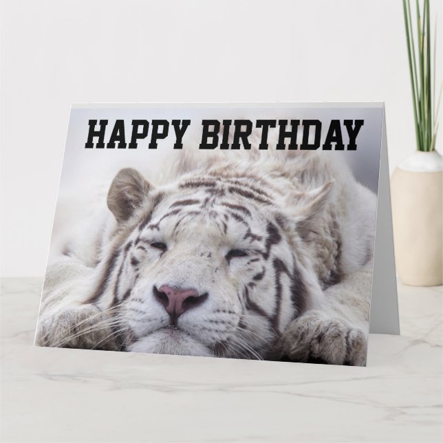 CHAT DE TIGRE BLANC PAN, GÂTEAU, GRANDE CARTE D'AN (Devant)