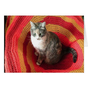 Chat de voeux d'anniversaire sur la carte de couve