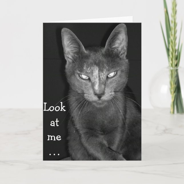 Chat déplaisant - Carte Anniversaire (Devant)