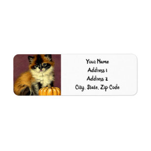 Chat d'Halloween Ragdoll vintage