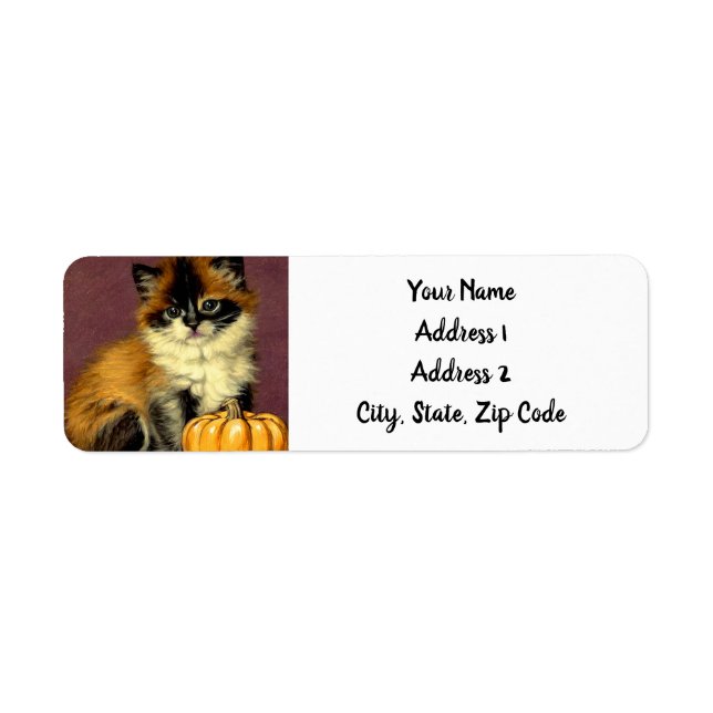 Chat d'Halloween Ragdoll vintage (Devant)