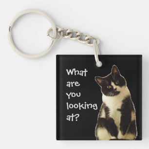 Chat drôle "Qu'est-ce que vous regardez ?"