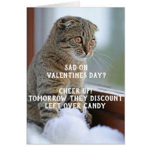 Chat drôle Valentine's Day Mème célibataire