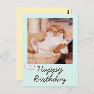 Chat drôle vintage et carte postale d'anniversaire