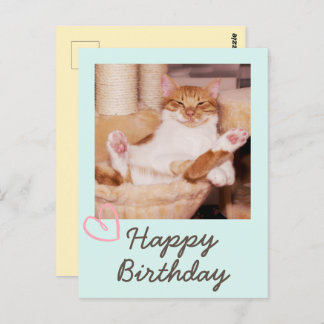 Chat drôle vintage et carte postale d'anniversaire