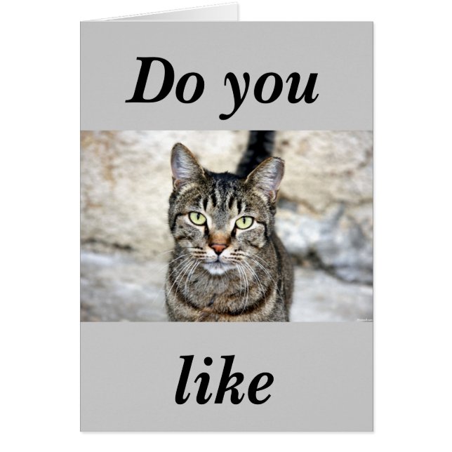 Chat égyptien (Devant)