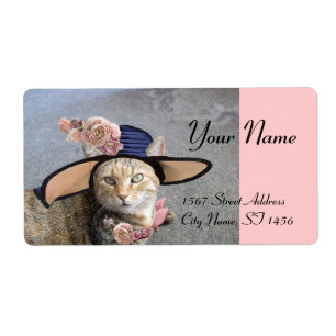 CHAT ÉLÉGANT AVEC GRAND CASQUETTE DIVA, ROSES ROSE