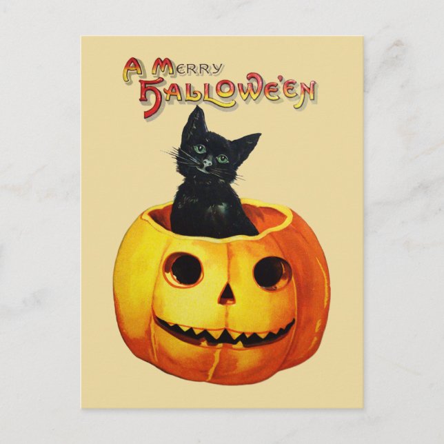 Chat en Citrouille Vintage Halloween Carte postale (Devant)