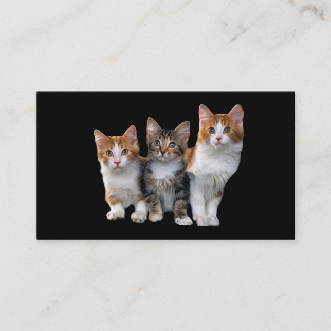 Chat en dehors du carte de visite de boîte (Devant)