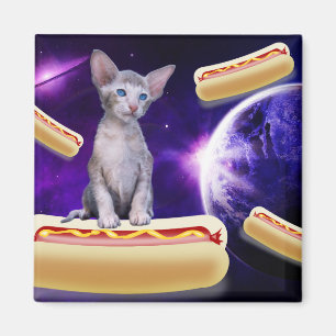 CHAT EN ESPACE AVEC CHIENS CHAUDS MAGNETS