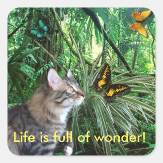 Chat en Stickers Forêt de Pluie