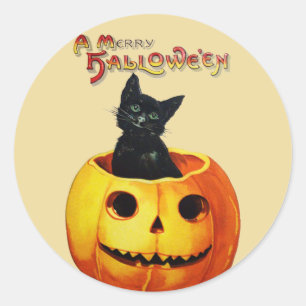 Chat en Stickers Halloween Vintage Citrouille