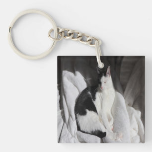 Chat endormi noir et blanc/Ajoutez la photo de vot