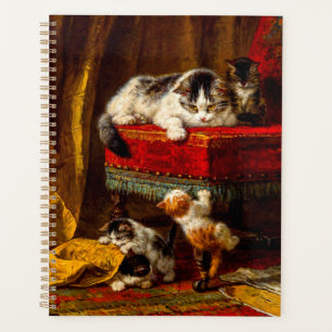 Chat et chatons Jouer avec chaise