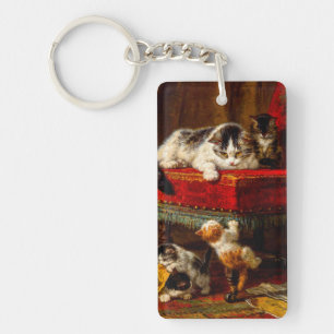 Chat et chatons Jouer avec chaise