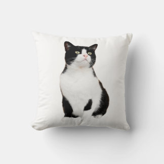 Chat et chien, Oreiller à lancer pour animaux de c