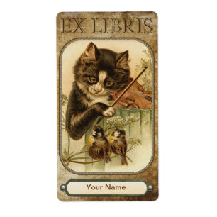 Chat et Plaque du livre Fiddle