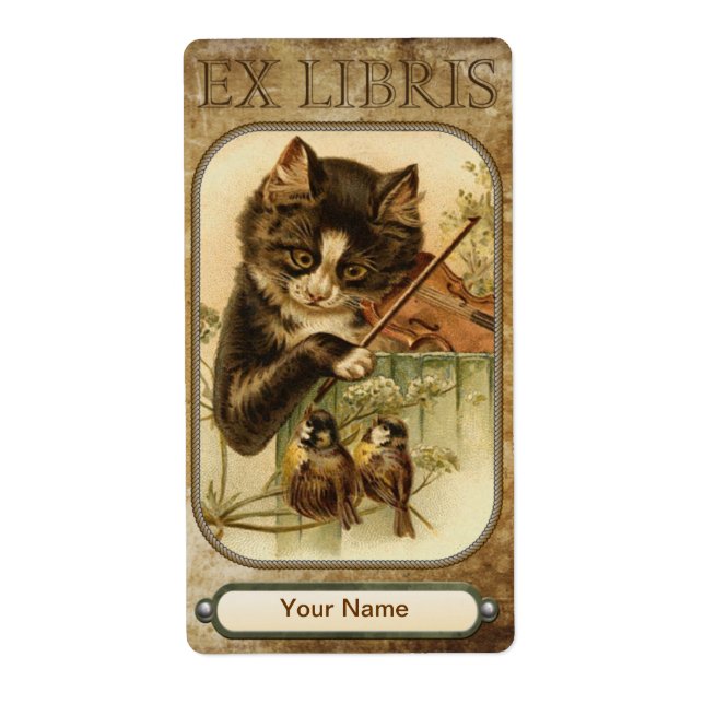 Chat et Plaque du livre Fiddle (Devant)