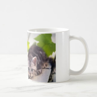 Chat et tasse de meilleurs amis de lapin