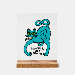 Chat Expressif Excentrique