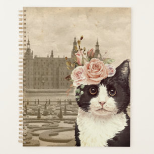 Chat fantaisie & Château