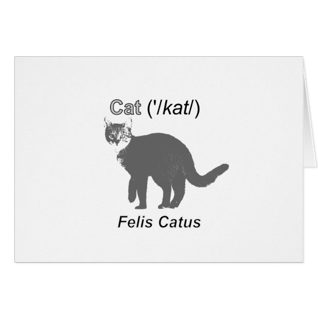 Chat Felis Catus (Devant horizontal)