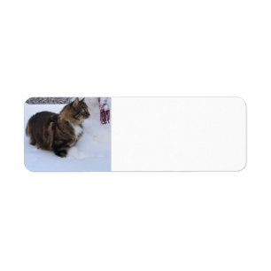 chat forestier norvégien dans la neige