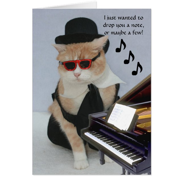 Chat Funny personnalisable (Devant)