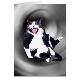 Chat glisser vers le bas sur la carte