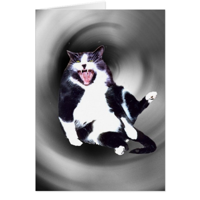 Chat glisser vers le bas sur la carte (Devant)