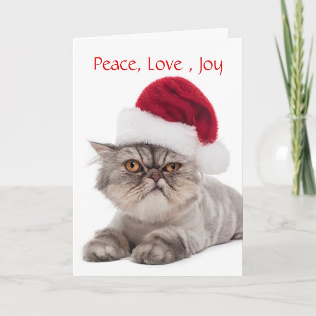 Chat gras avec la carte de Noël de Santa Hat (Devant)