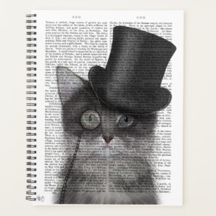 Chat gris avec chapeau supérieur