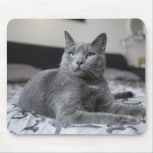 Chat gris avec le tapis de souris de yeux verts