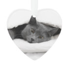 Chat gris sous la couverture blanche