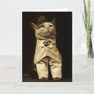 Chat habillé à partir de la carte de voeux Vintage