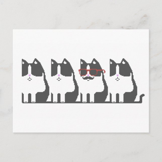 Chat Hipster Dehors Pixel Art Carte postale (Devant)