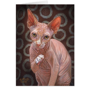 Chat Jack de sphinx de Sphynx