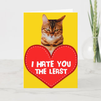 Chat Je Vous Déteste La Moindre Carte