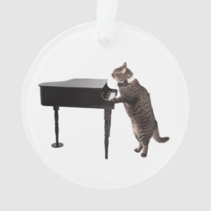 Chat Jouer Piano