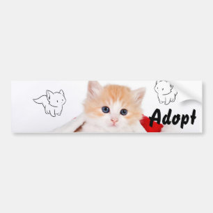 Chat Kitten Chien Adopter le pare-chocs Sticker