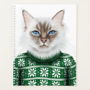Chat Kitty