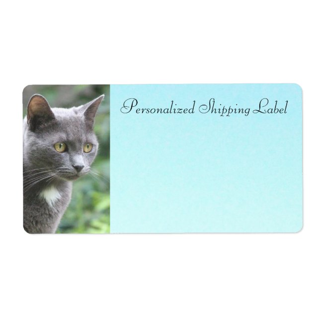 Chat Kitty En Gris (Devant)