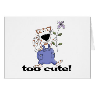 Chat Kitty trop mignon