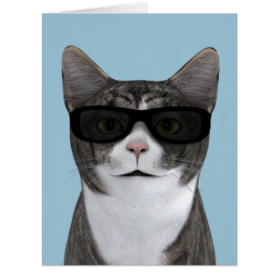 Chat le plus frais avec lunettes noires