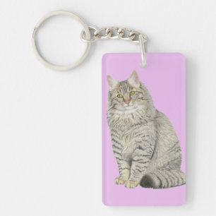 Chat Longhair Tabby