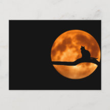 Chat lunaire - Carte postale