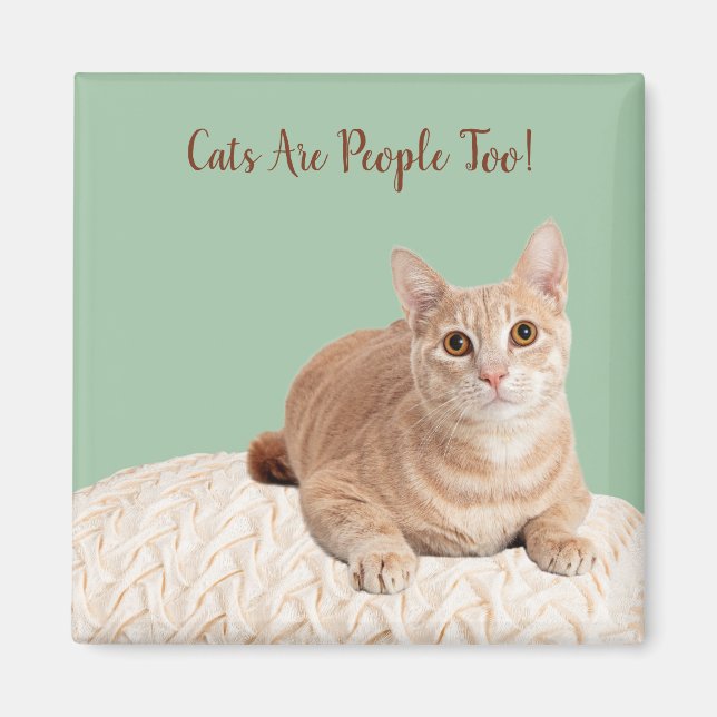Chat Magnet Les Chats Sont Aussi Des Gens (Devant)